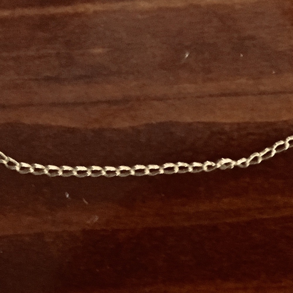 Gold thing chain necklace.